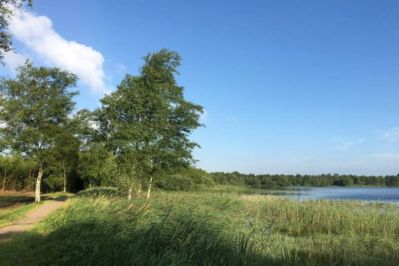 Foto von Ferienhaus KC77 in Kvie Sø - Westjütland