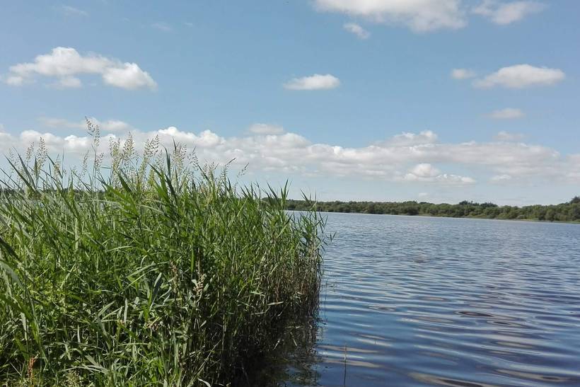 Foto von Ferienhaus KC77 in Kvie Sø - Westjütland