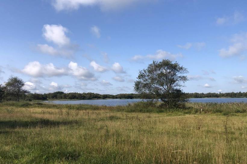 Foto von Ferienhaus KC77 in Kvie Sø - Westjütland