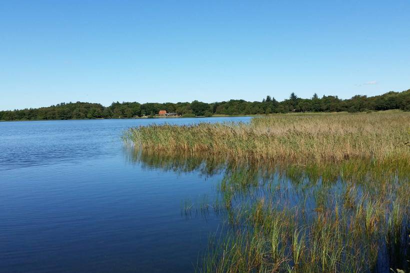 Foto von Ferienhaus KC77 in Kvie Sø - Westjütland