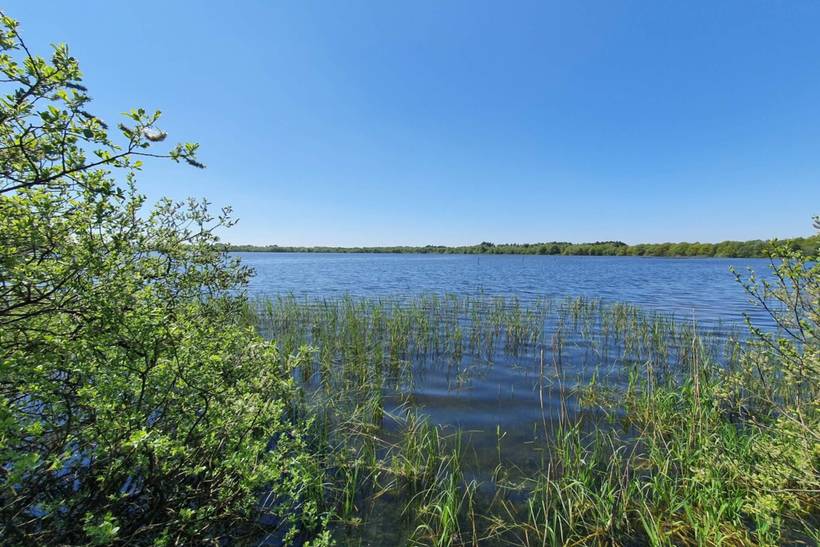 Foto von Ferienhaus KC77 in Kvie Sø - Westjütland