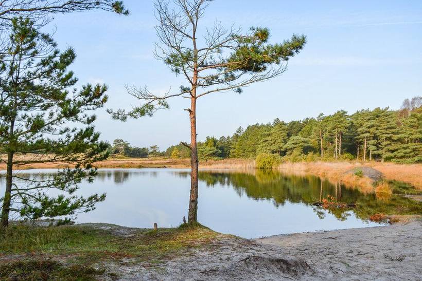 Foto von Ferienhaus KD61 in Sønderstrand - Rømø