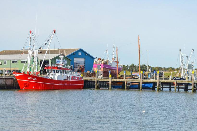 Foto von Ferienhaus KD61 in Sønderstrand - Rømø