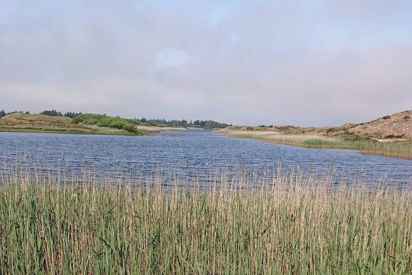 Foto von Ferienhaus KE72 in Vejers Strand - Westjütland