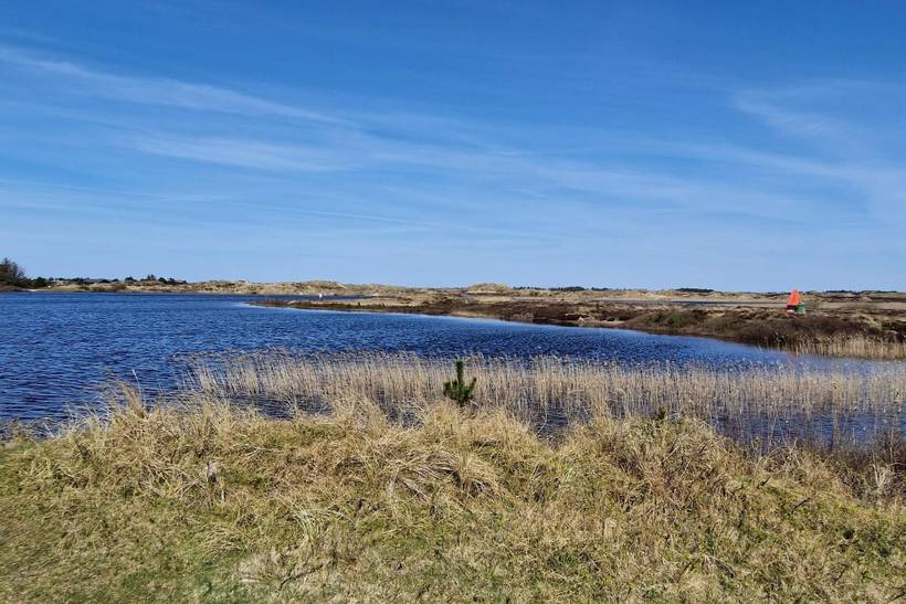 Foto von Ferienhaus KE72 in Vejers Strand - Westjütland