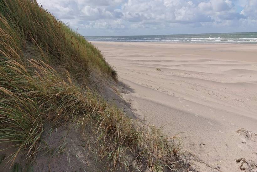 Foto von Ferienhaus KE72 in Vejers Strand - Westjütland