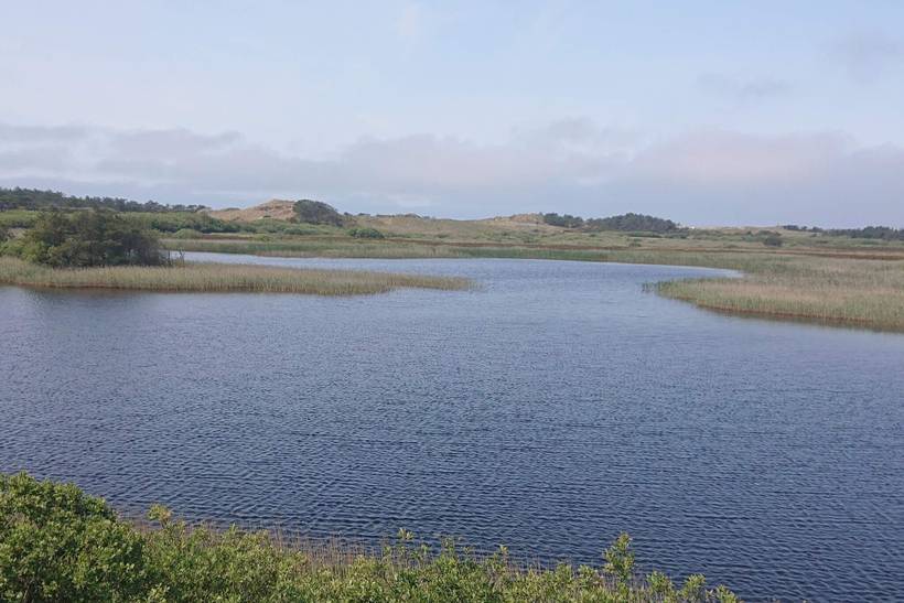 Foto von Ferienhaus KE72 in Vejers Strand - Westjütland