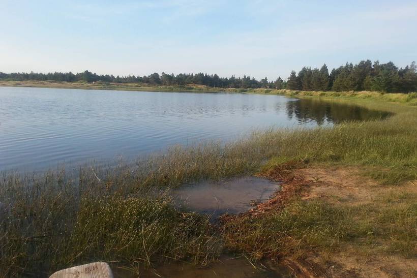 Foto von Ferienhaus KE72 in Vejers Strand - Westjütland