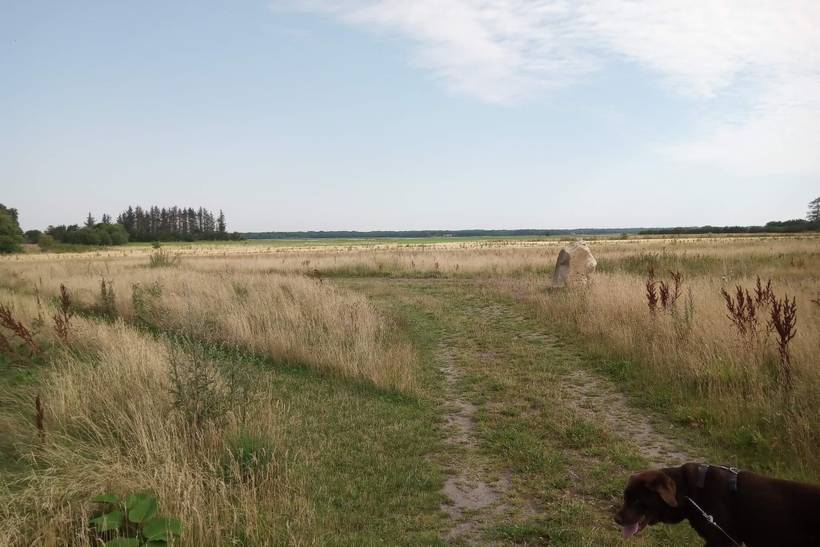 Foto von Ferienhaus KF04 in Egense - Nordjütland Ost