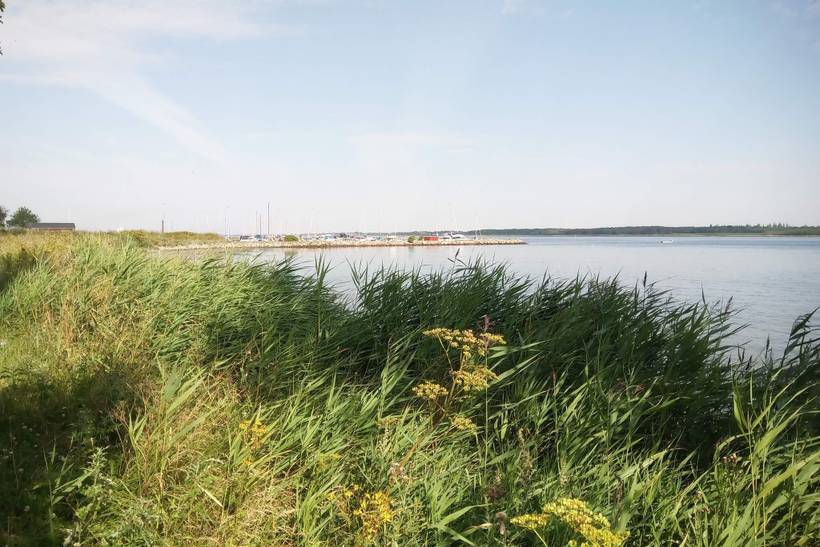 Foto von Ferienhaus KF04 in Egense - Nordjütland Ost