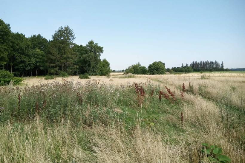 Foto von Ferienhaus KF04 in Egense - Nordjütland Ost