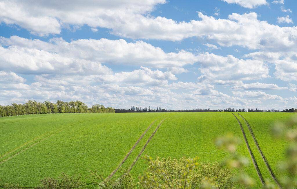 Foto von Ferienhaus KF24 in Hjarbæk - Thy/Limfjord