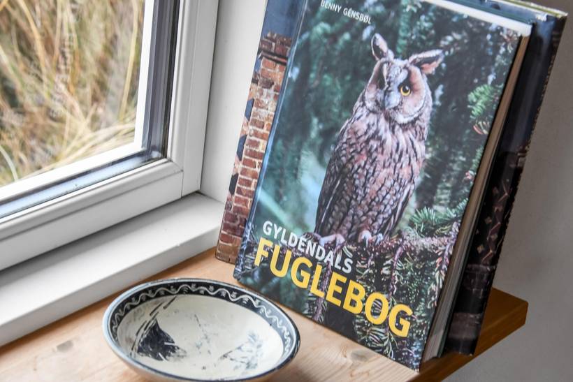 Foto von Ferienhaus KF36 in Vester Husby - Westjütland