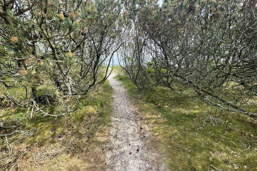 Foto von Ferienhaus KG50 in Mårup - Samsø