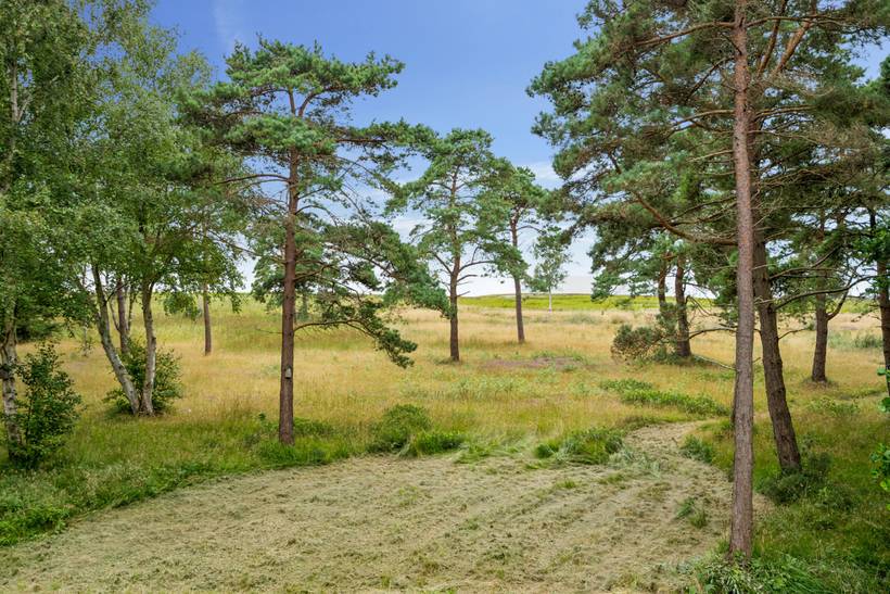 Foto von Ferienhaus KH89 in Østerby - Læsø