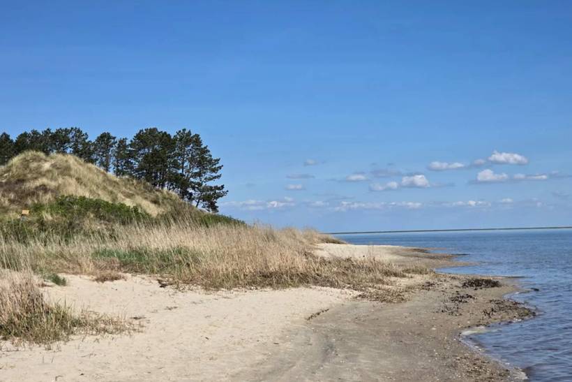 Foto von Ferienhaus KI09 in Kongsmark - Rømø