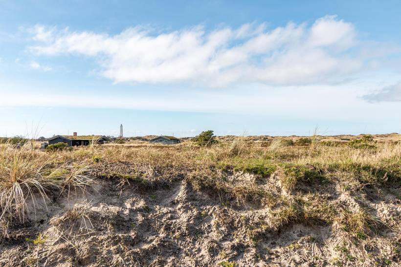 Foto von Ferienhaus KI97 in Blåvand - Westjütland