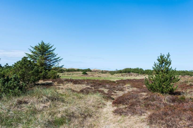 Foto von Ferienhaus KJ02 in Blåvand - Westjütland
