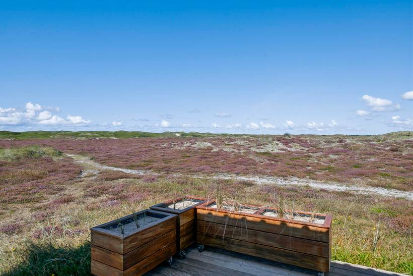 Foto von Ferienhaus KJ40 in Bjerregård - Westjütland