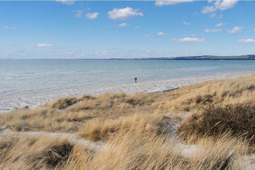 Foto von Ferienhaus KJ49 in Sejerø Bugt - Westseeland