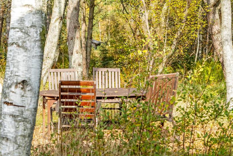 Foto von Ferienhaus KJ50 in Ålbæk - Nordjütland Ost