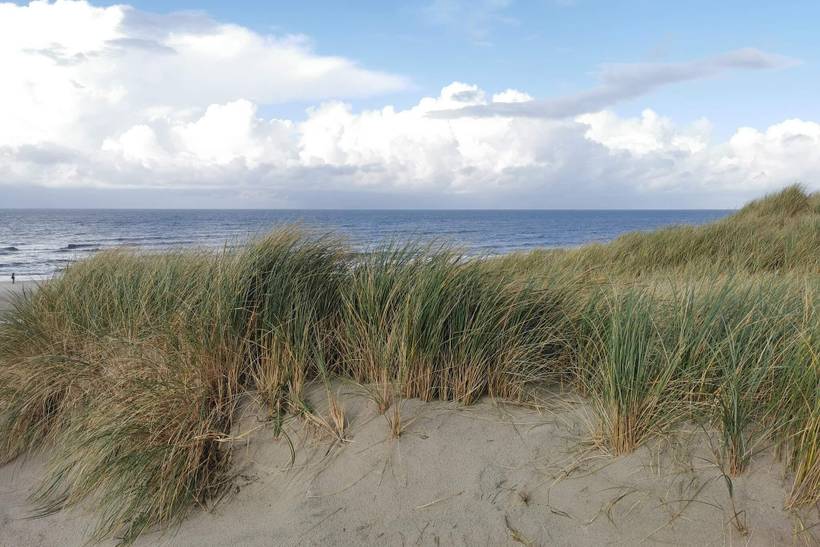 Foto von Ferienhaus KJ57 in Henne Strand - Westjütland