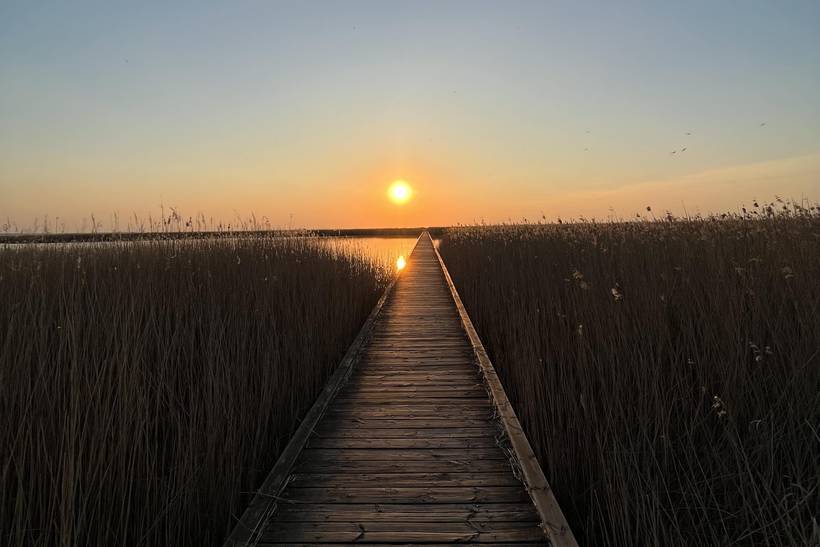 Foto von Ferienhaus KK99 in Sejerø Bugt - Westseeland