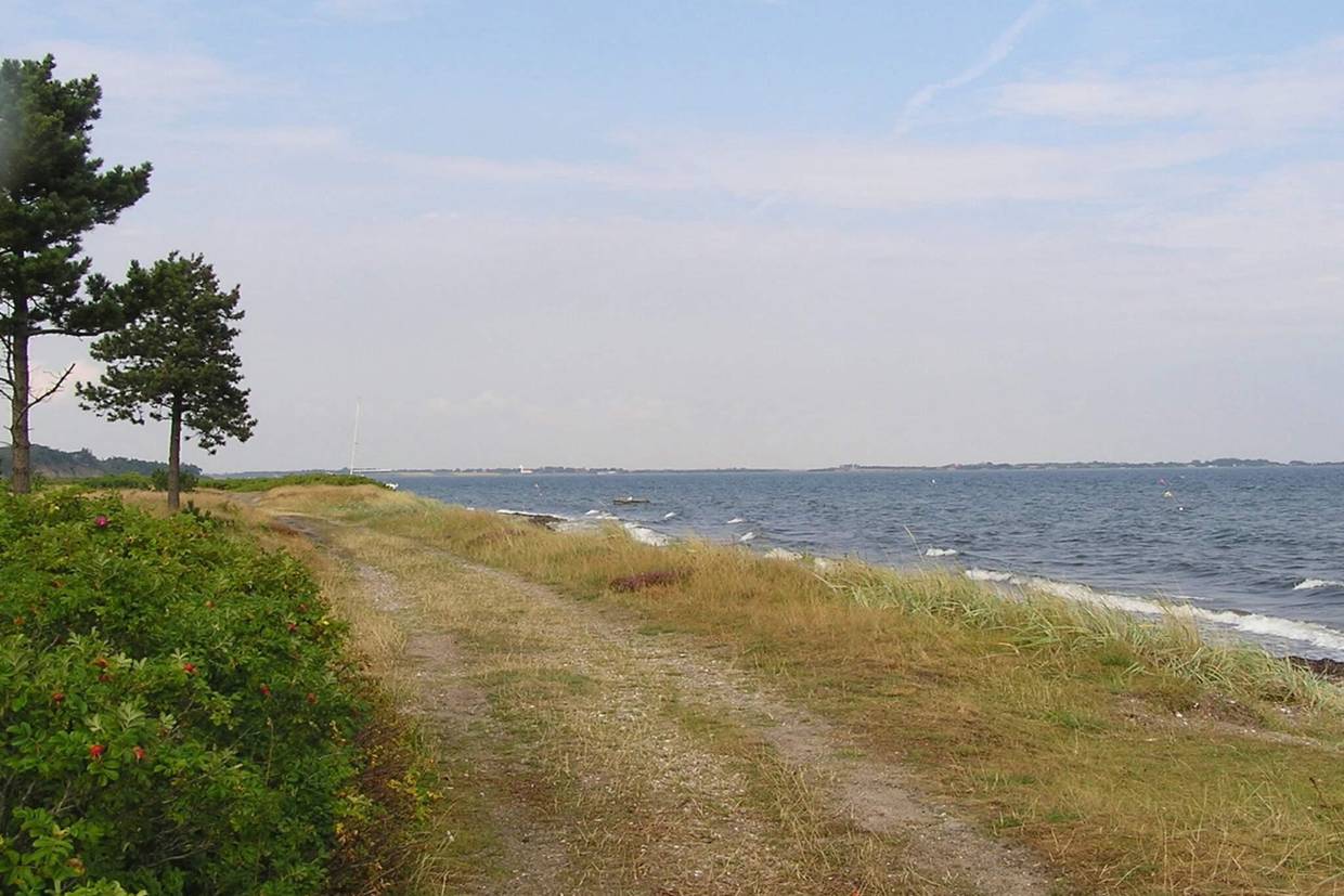 Foto von Ferienhaus KL05 in Thyholm Søndbjerg - Thy/Limfjord