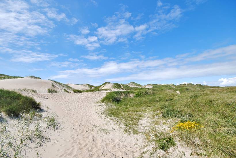 Foto von Ferienhaus KL24 in Houvig - Søndervig - Westjütland