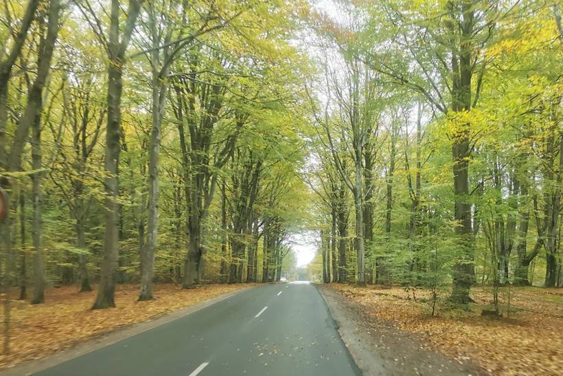 Foto von Ferienhaus KL33 in Henne Strand - Westjütland