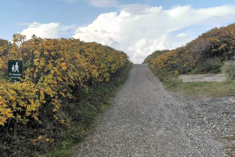 Foto von Ferienhaus KL33 in Henne Strand - Westjütland