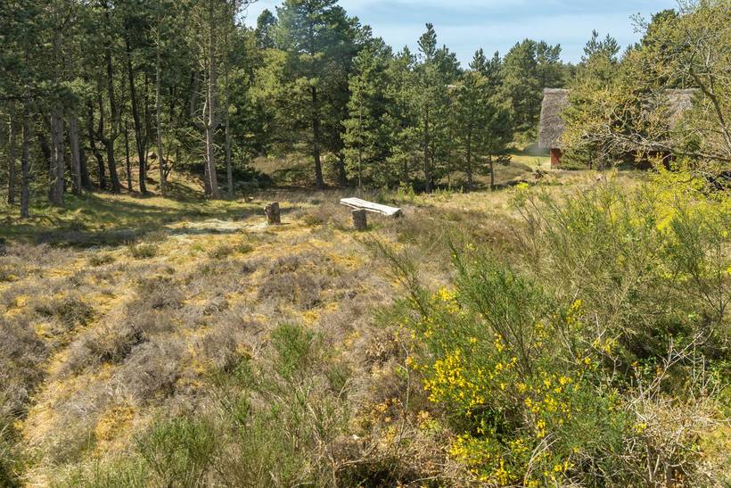 Foto von Ferienhaus KL68 in Sønderstrand - Rømø
