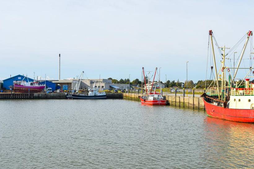 Foto von Ferienhaus KL81 in Kongsmark - Rømø