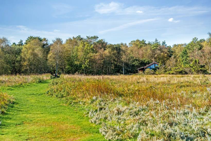Foto von Ferienhaus KL95 in Helberskov - Nordjütland Ost