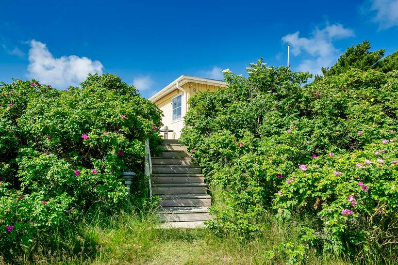 Foto von Ferienhaus KM07 in Vejers Strand - Westjütland