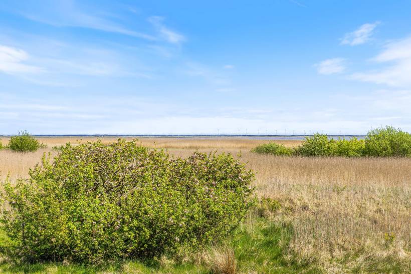 Foto von Ferienhaus KM50 in Bjerregård - Westjütland