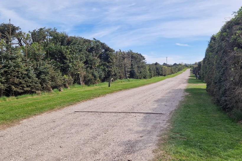 Foto von Ferienhaus KM81 in Nr. Lyngby - Løkken - Nordjütland