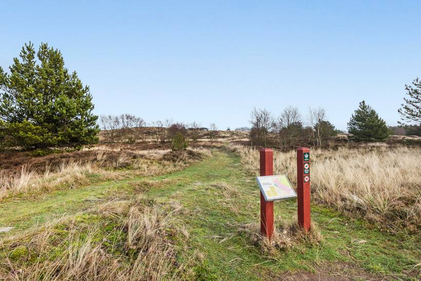 Foto von Ferienhaus KN38 in Sønderstrand - Rømø