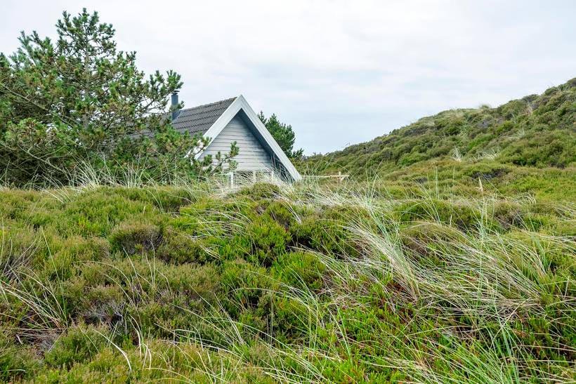 Foto von Ferienhaus KN40 in Grærup - Vejers Strand - Westjütland