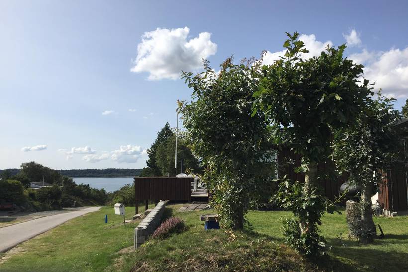 Foto von Ferienhaus KN42 in Salling - Thy/Limfjord
