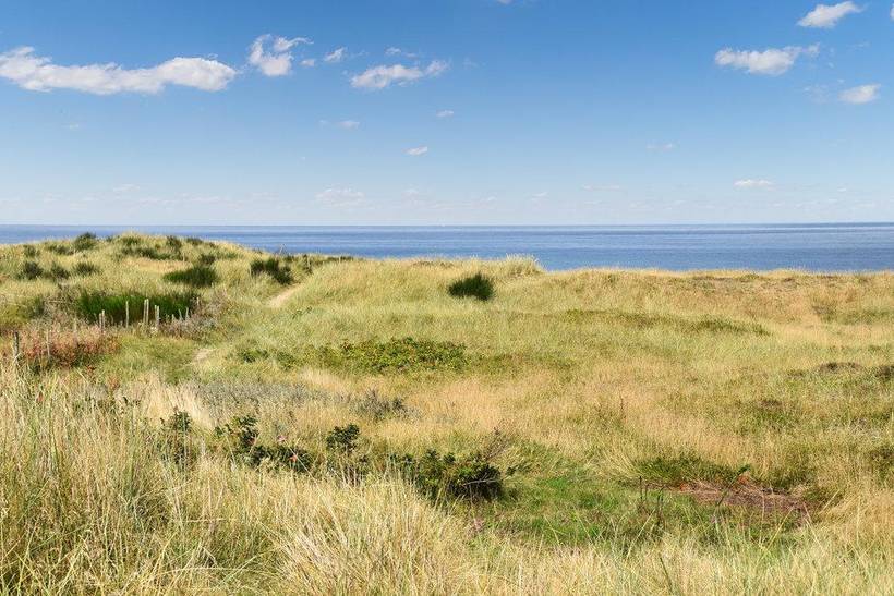 Foto von Ferienhaus KN65 in Hanstholm - Thy/Limfjord