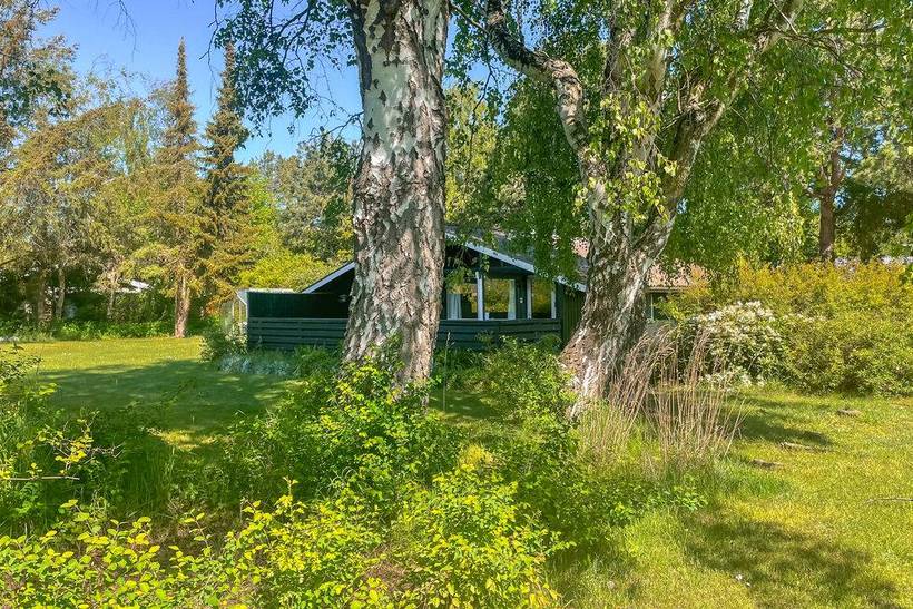 Foto von Ferienhaus KN81 in Sjællands Odde - Westseeland