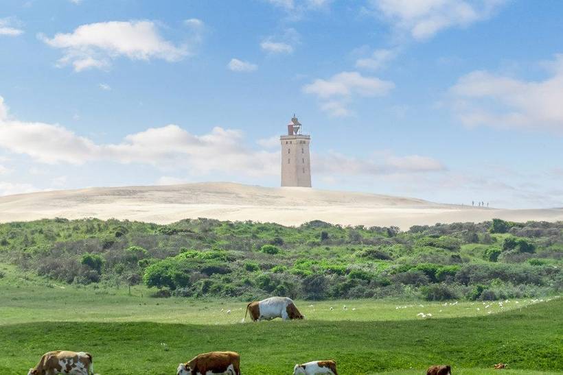 Foto von Ferienhaus KO19 in Lønstrup - Nordjütland