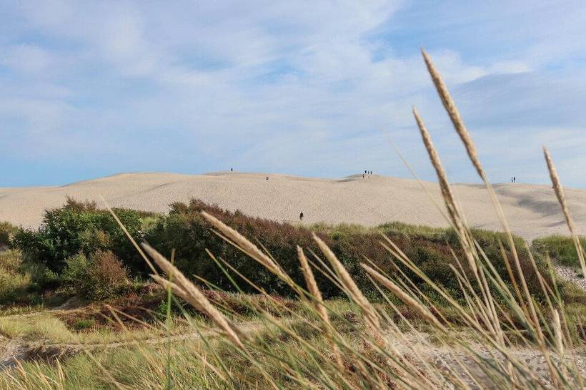 Foto von Ferienhaus KO66 in Kandestederne - Skagen - Nordjütland