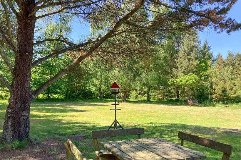 Foto von Ferienhaus KO98 in Ho - Blåvand - Westjütland