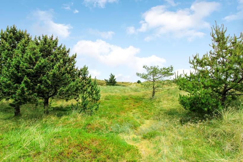 Foto von Ferienhaus KQ44 in Blåvand - Westjütland
