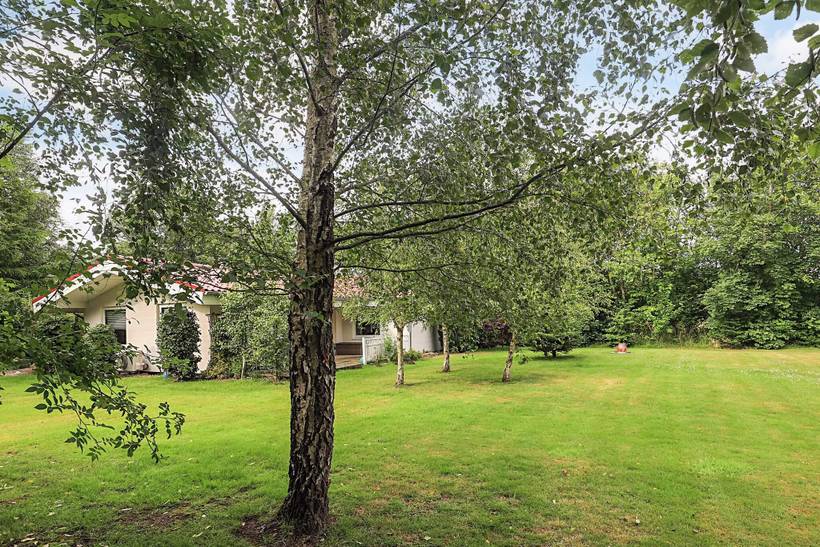 Foto von Ferienhaus KQ82 in Ålbæk - Thy/Limfjord
