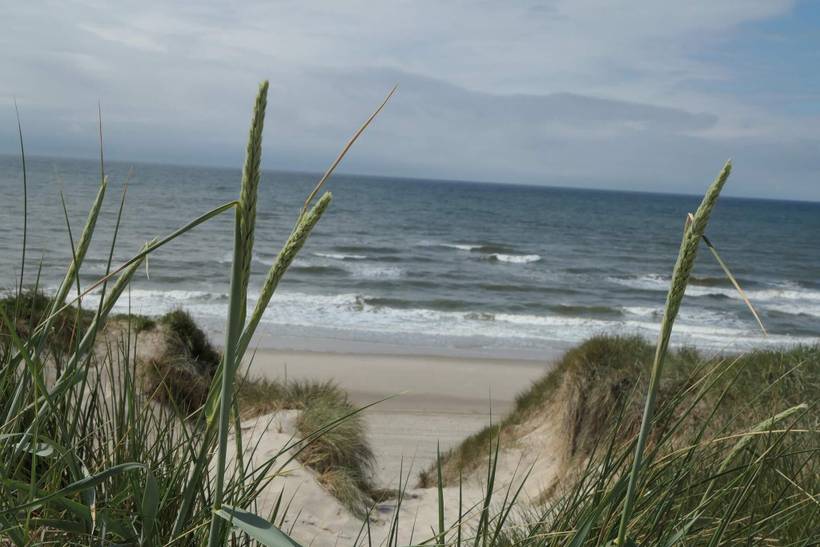 Foto von Ferienhaus KQ83 in Holmsland Klitby - Klegod - Westjütland