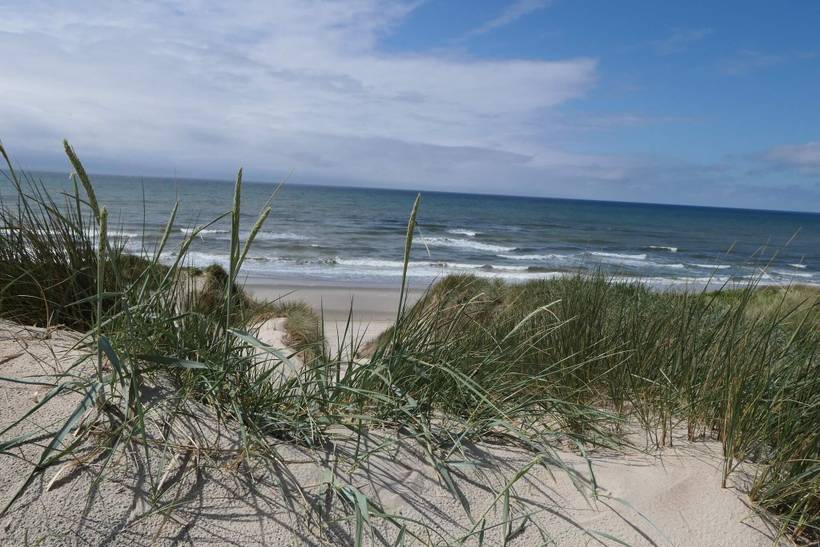 Foto von Ferienhaus KQ83 in Holmsland Klitby - Klegod - Westjütland