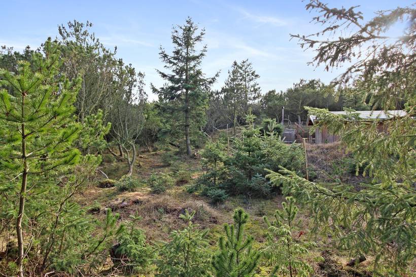 Foto von Ferienhaus KR14 in Vejers Strand - Westjütland